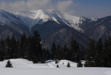 На западе Украины ухудшится погода: спасатели предупредили об опасности и осадках