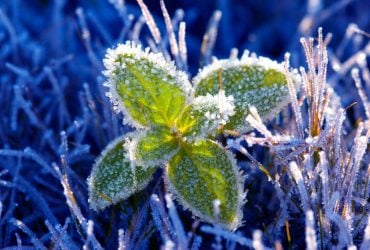 Холод из Арктики охватит Украину: температура упадет до -4°, - синоптик (видео)