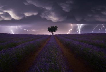 Best pictures of World Photography Awards