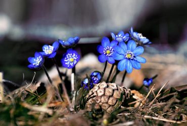 26 березня погода в Україні покращиться (карта)