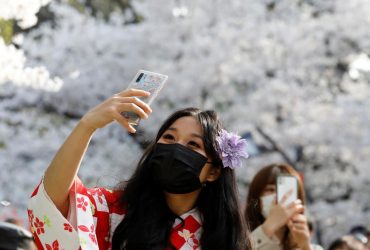 Japan sees the earliest cherry blossom