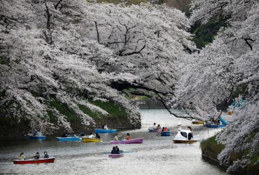 Японія з жовтня відкриє кордони для масового туризму