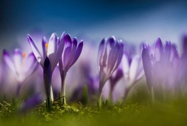 Антициклон в Україні: синоптик розказав, що буде з погодою на вихідних