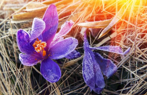 Народні обряди і традиції 13 березня: прикмети погоди і головні заборони дня