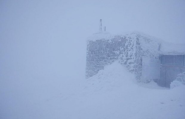 У Карпатах вирує штормовий вітер та мете хуртовина, мороз сягнув -10° (фото, відео)