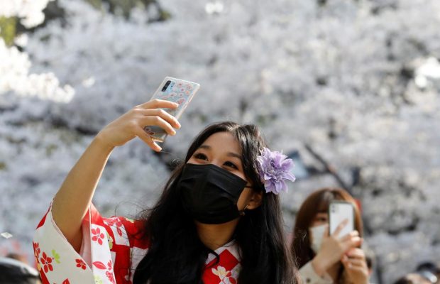 Сакура у Японії розквітла на три тижні раніше вперше за 1200 років (фото, відео)