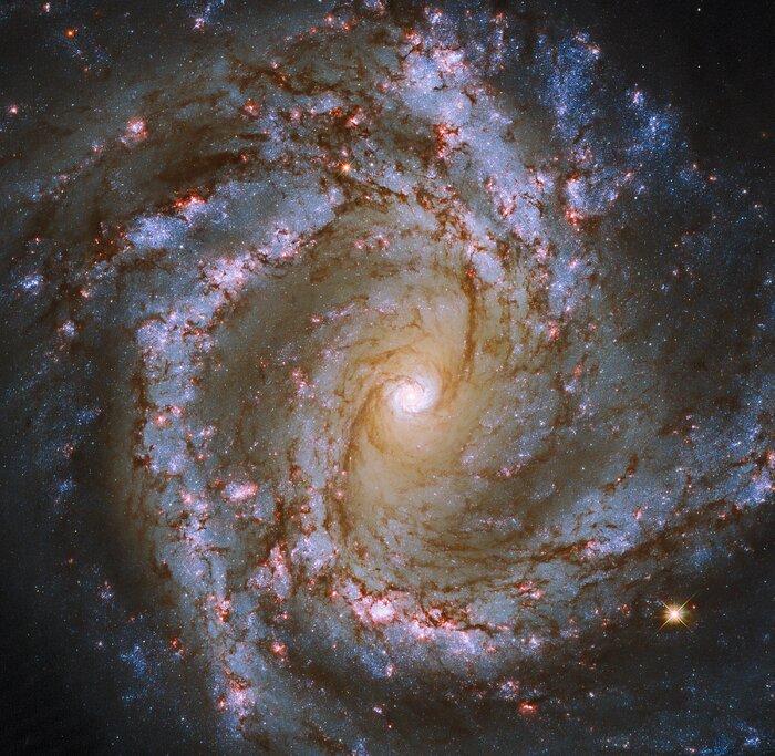 Эта великолепная галактика находится в 52 млн световых лет от Земли / фото ESA/Hubble & NASA, ESO, J. Lee and the PHANGS-HST Team