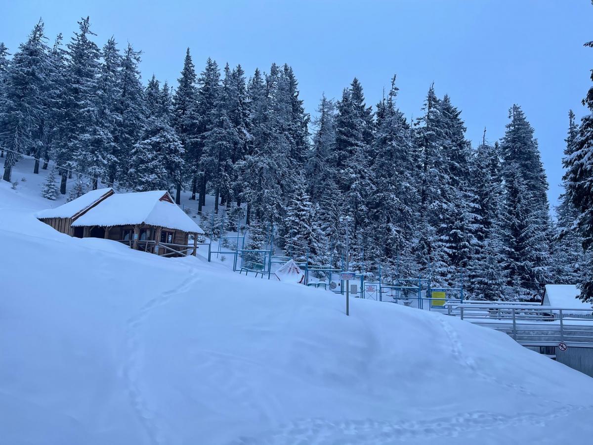 Весна на Драгобраті / Фото Василь Молдавчук Весна на Драгобраті / Фото Василь Молдавчук
