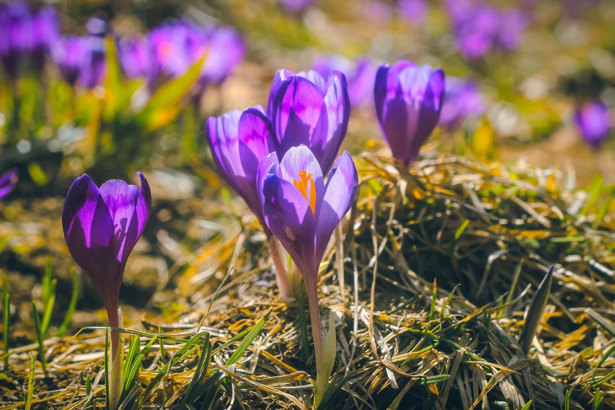 Синоптик рассказал, когда в Украине потеплеет и прекратятся дожди