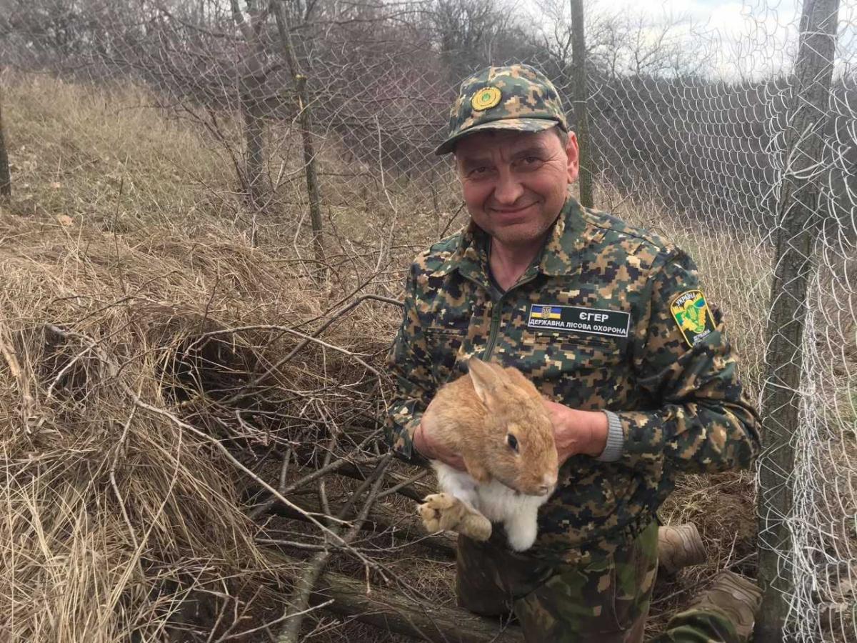 В природу випустили 8 самочок і 2 самця / фото Олега Булашева В природу випустили 8 самочок і 2 самця / фото Олега Булашева