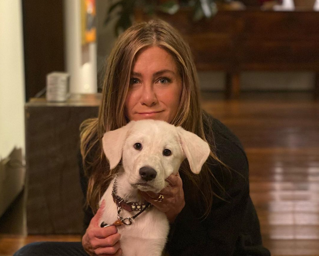 Актриса показала фото / instagram.com/jenniferaniston Актриса показала фото / instagram.com/jenniferaniston