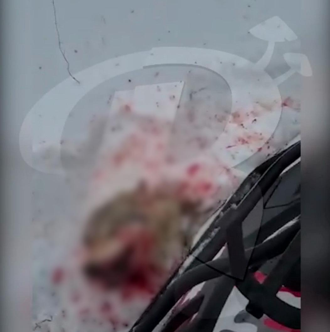 скріншот відео скріншот відео