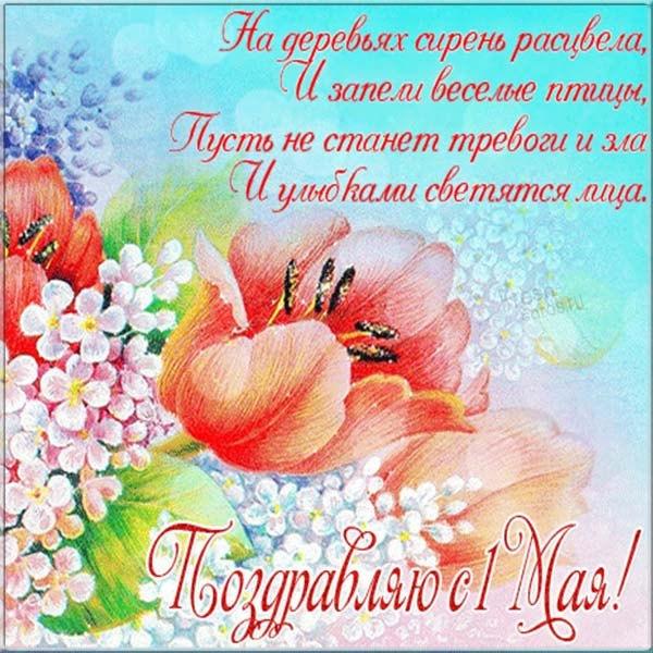 С 1 мая поздравления / фото fresh-cards.ru С 1 мая поздравления / фото fresh-cards.ru