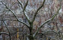 В Україні наприкінці тижня суттєво зміниться погода: що кажуть синоптики (відео)