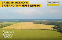 По программе президента при строительстве Киевской обходной высадят по новому дереву вместо каждого срубленного