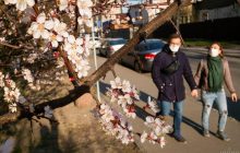 Сонячно та по-весняному тепло: якою буде погода в Україні 11 квітня (карта)