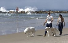 В Средиземном море израильские дайверы нашли меч крестоносцев (видео)