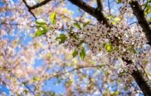 Станет ли теплее в Украине на следующей неделе: синоптик дала прогноз