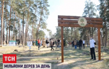 В Украине установили рекорд по озеленению планеты (видео)