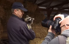 У Львові поліцейські влаштували фотосесію з врятованими тваринами (відео)