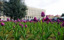 Жители Ужгорода попросили местные власти дерусифицировать названия улиц и площадей