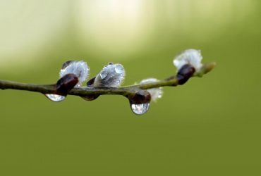 Середа в Україні буде холодною та мокрою: де знадобиться парасолька (карта)
