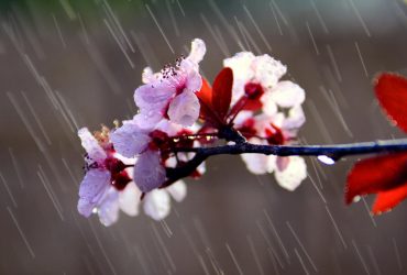 Синоптик попередив українців про сильні дощі та грози: де литиме