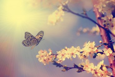 В Україні скоро потеплішає: названо точні дати