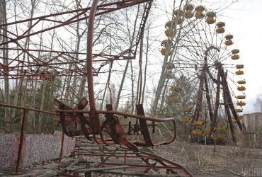 В Чернобыле заметили красивую птицу: поймать робкого пернатого - большая редкость