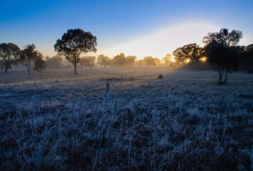 Синоптики підвищили рівень небезпечності в Україні: що буде з погодою (карта)