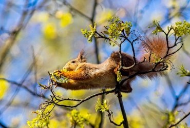 Температура в Украине подскочит до +17°: синоптик рассказал, каким областям повезет