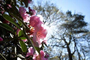 Потепління в Україні 2022: скоро очікується понад +20 градусів