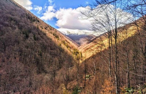 У Карпатах знайшли тіло зниклого у лютому туриста з Києва