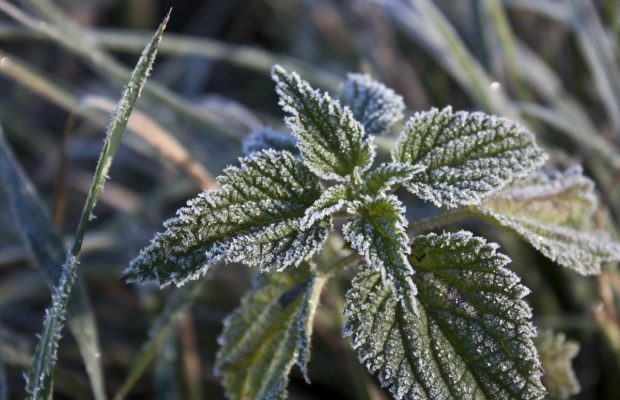 28 листопада 2021 - яке сьогодні свято, прикмети та іменинники, що сьогодні не можна робити