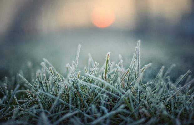 24 февраля: народный праздник, обычаи и приметы погоды