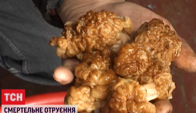 Дитина отруїлася грибами / Скріншот Дитина отруїлася грибами / Скріншот