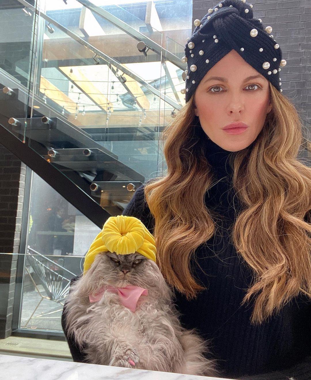 У Кейт Бекинсейл есть несколько котов / фото Кейт Бекинсейл, Instagram У Кейт Бекинсейл есть несколько котов / фото Кейт Бекинсейл, Instagram