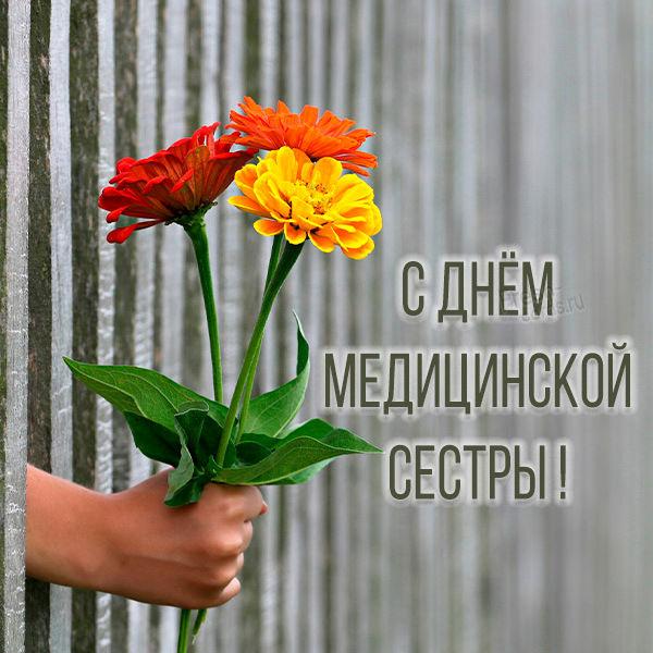 Привітання з Днем медсестер / fresh-cards.ru Привітання з Днем медсестер / fresh-cards.ru