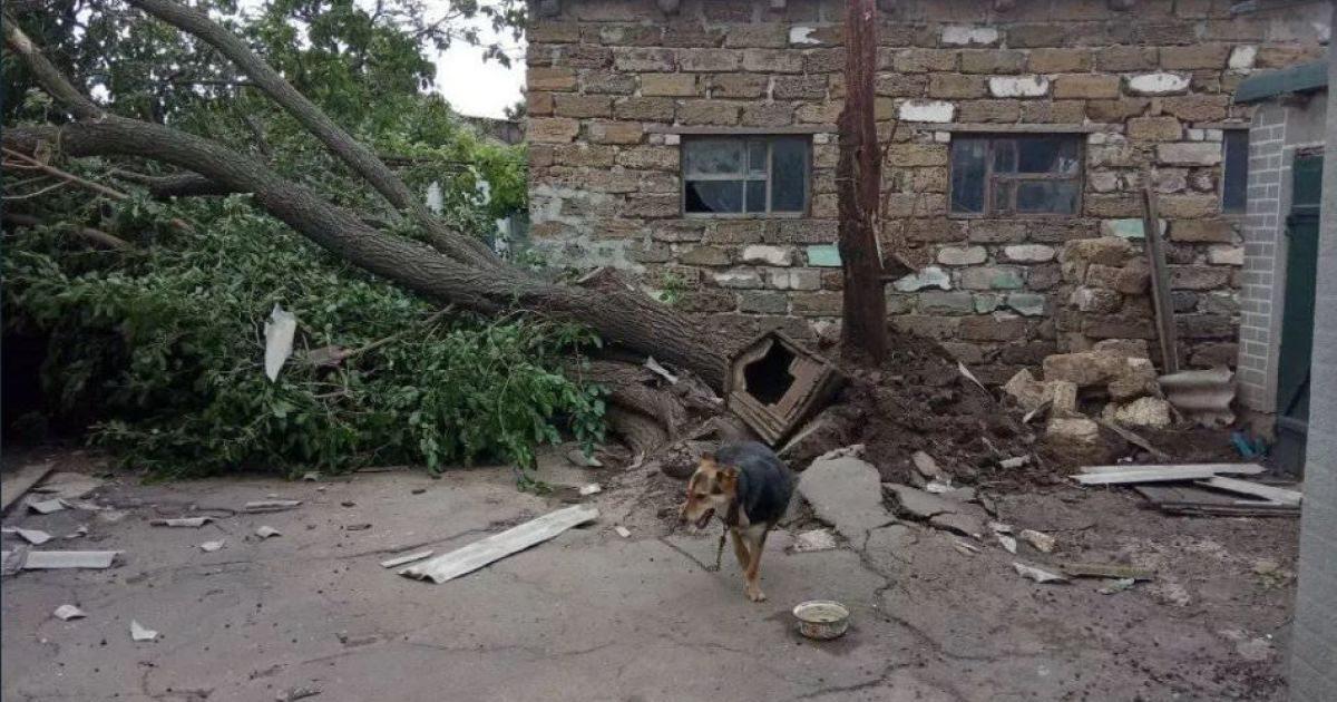 Местами ураган взламывал деревья / Фото khersonci.com.ua Местами ураган взламывал деревья / Фото khersonci.com.ua