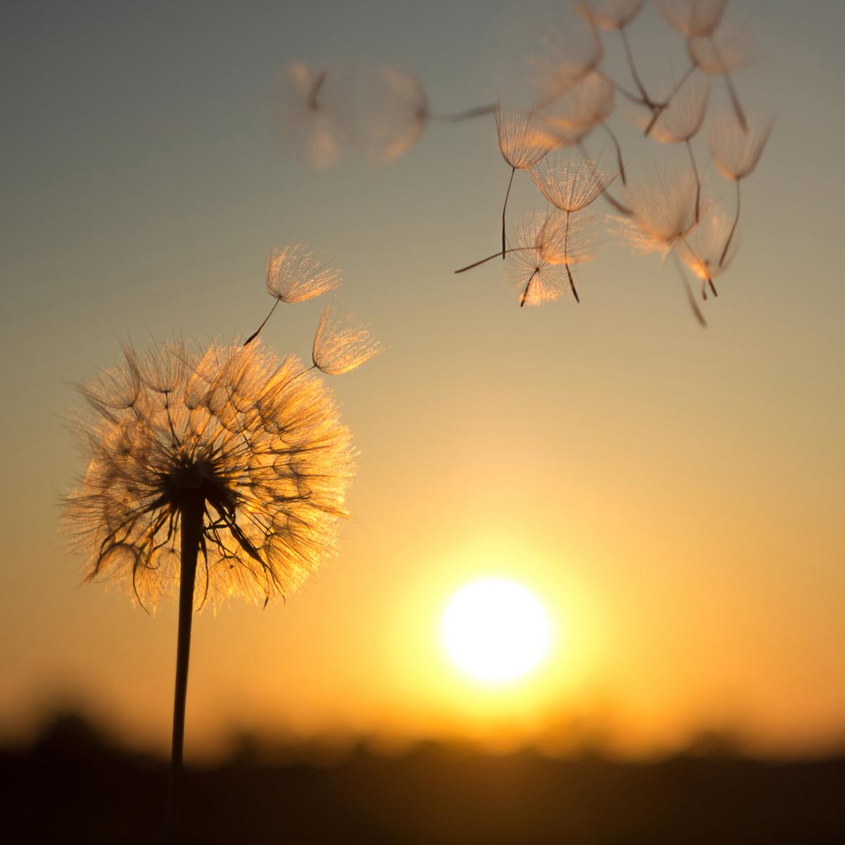 https://images.unian.net/photos/2021_05/1621345688-1705.jpg?r=216867
