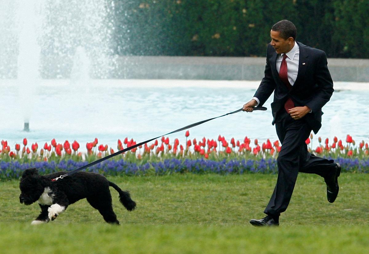 Восени 2008 року господарем Білого Дому стаэ Барак Обама / фото REUTERS