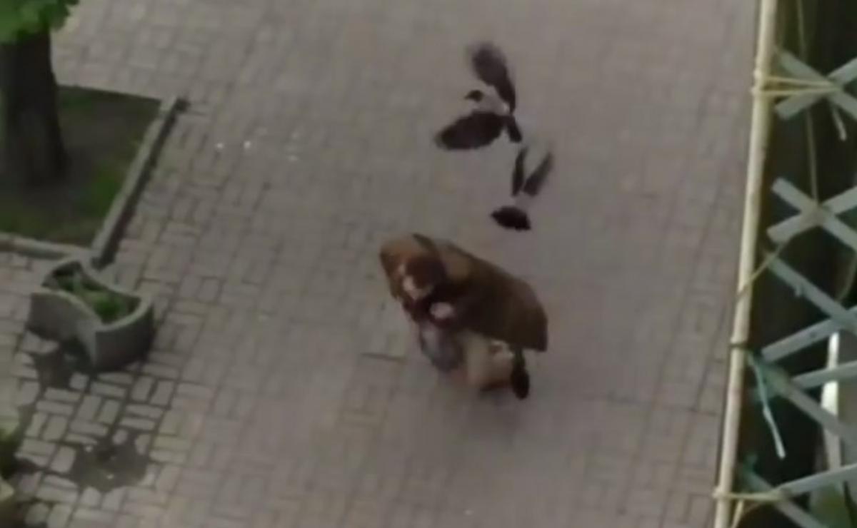 Мужчина благополучно убежал / скриншот из видео Мужчина благополучно убежал / скриншот из видео