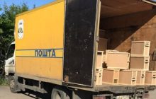 На Закарпатті загинули вісім мільйонів бджіл, яких відправили замовникам Укрпоштою – ЗМІ (фото)
