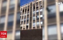 Мистер невозмутимость-2021: в Чикаго кот во время пожара прыгнул с пятого этажа и спокойно пошел по улице (видео)