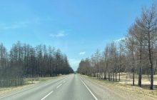 "Большая стройка" на Луганщине обновит в 4 раза больше дорог, чем за последние 10 лет - Кубраков