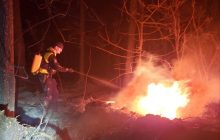 ДСНС попереджає: в Україні оголошено найвищий рівень пожежної небезпеки