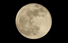 Цього літа люди зможуть спостерігати чотири супермісяці поспіль: відомі точні дати