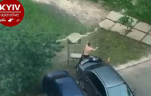 "Вступил в неравный бой": в Киеве мужчина эпично подрался с ковром и попал на видео