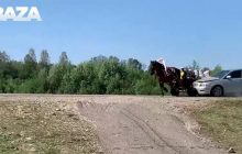 У Росії автомобіль на швидкості протаранив кінський віз з людьми (відео)