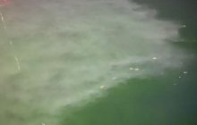 В Одессе известный отель сливает в море канализационные воды - соцсети (фото)